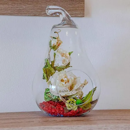 In - Insel Korcula 6404 Lejlighed Prizba